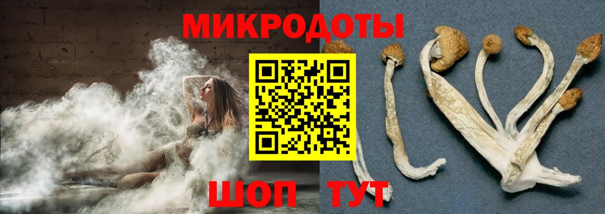 Псилоцибиновые грибы Magic Shrooms  цена   Псилоцибиновые грибы Psilocybine cubensis  Всеволожск  Вход с VPN 